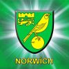Norwich City Football Club Logo paint by numbers