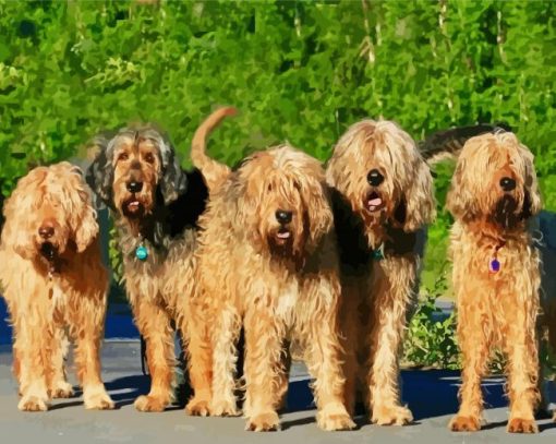 Adorable Otterhound Dogs paint by numbers