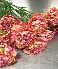 Pink Carnations Bouquet paint by numbers