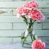 Pink Carnations In Vase paint by numbers