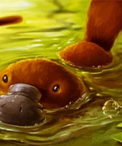 Platypus Animal paint by numbers