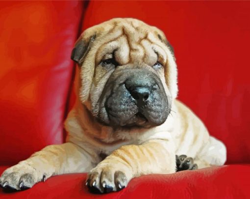Puppy Shar Pei Dog paint by numbers