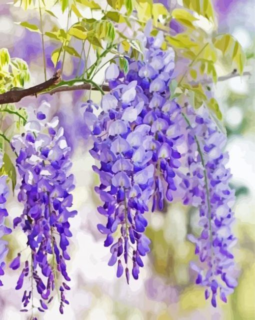 Beautiful Purple Wisteria Flowers paint by numbers