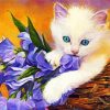 Ragdoll And Flowers paint by numbers