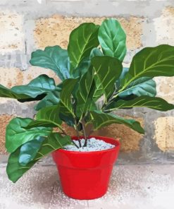 Fiddle Leaf Fig Plant paint by numbers