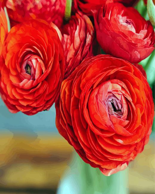 Red Ranunculus - Paint By Numbers - Canvas Paint by numbers