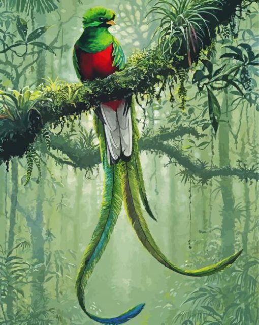 Resplendent Quetzal Bird paint by numbers