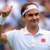 Roger Federer paint by numbers