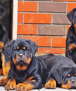 Rottweiler Family Dogs paint by numbers