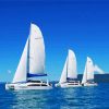Sailing Catamarans paint by numbers