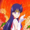 Sailor Mars Character paint by numbers