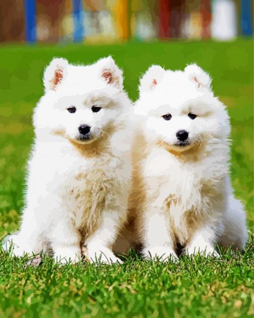 Cute Samoyed Puppies paint by numbers
