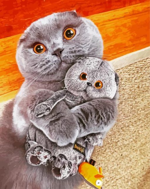 Adorable Scottish Fold Cat paint by numbers
