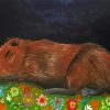 Sleepy Capybara paint by numbers