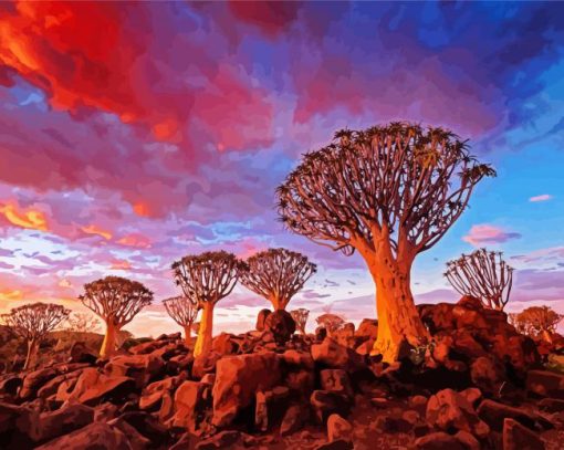 Aloe Dichotoma Trees paint by numbers