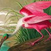 Pink Spoonbill Art paint by numbers