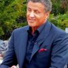 Classy Actor Sylvester Stallone paint by numbers