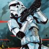 Stormtrooper Character paint by numbers