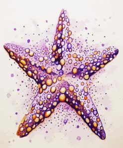 Aesthetic Starfish paint by numbers