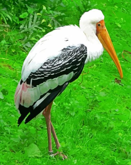 Beautiful Stork Bird paint by numbers
