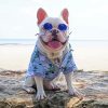 Stylish French Bulldog paint by numbers
