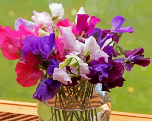Sweetpea In Glass Vase paint by numbers