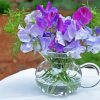 Sweetpea Plants In Glass paint by numbers