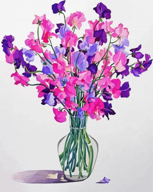 Sweetpea Illustration paint by numbers