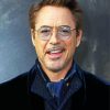 Handsome Actor Robert Downey Jr paint by numbers