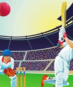 The Cricket Match paint by numbers