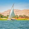 The Aesthetic Nile River paint by numbers