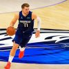 Luka Dončić Player paint by numbers