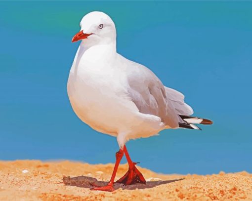 The Seagull Bird paint by numbers