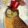 Steampunk Owl paint by numbers