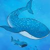 The Whale Shark paint by numbers