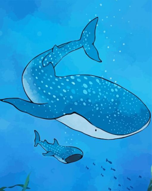 The Whale Shark paint by numbers