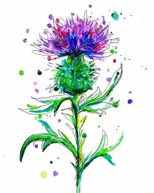 Thistle Plant Art paint by numbers
