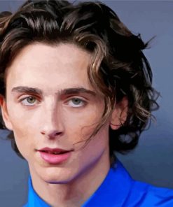 Handsome Timothée Chalamet paint by numbers