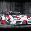 Toyota GR Supra GT4 Car paint by numbers