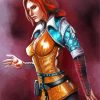 Triss Merigold Game Character paint by numbers
