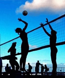 Volleyball Players Silhouettes paint by numbers