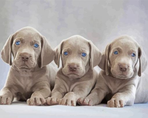 Weimaraner Puppies Scaled paint by numbers