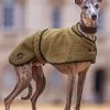 Whippet Pet Dog paint by numbers