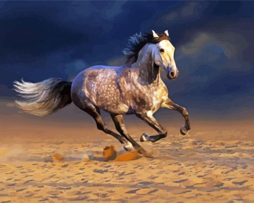 Andalusian Horse In The Desert paint by numbers