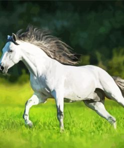 White Andalusian Horse Running paint by n umbers