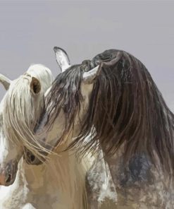Aesthetics White Andalusian Horses paint by numbers