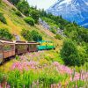 White Pass & Yukon Route Railway paint by numbers