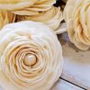 White Ranunculus Flowers paint by numbers