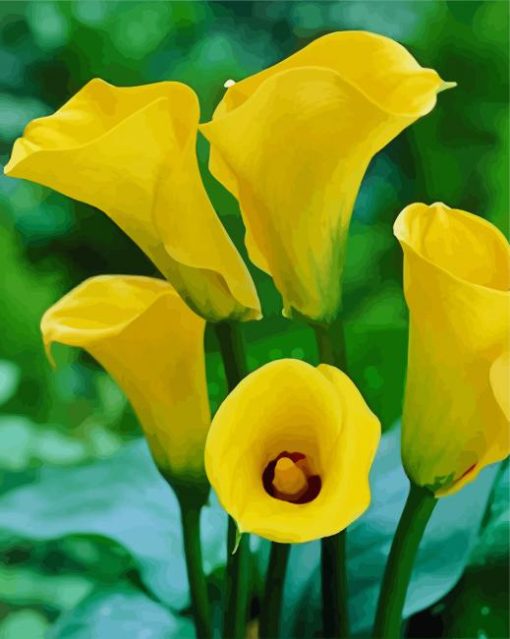 Yellow Calla Lilies Flowers paint by numbers