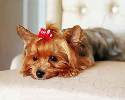 Yorkie Dog With Accessory paint by numbers
